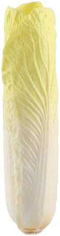 MAGICLULU Realistic Fake Chinese Cabbage Artificial Vegetable Decor
