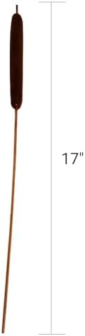 40 Pcs Dried Natural Cattails for Decor and Arrangements