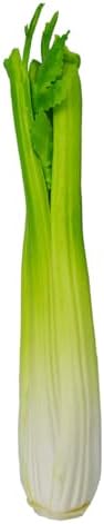 LOGOFUN Artificial Celery Photo Prop for Display