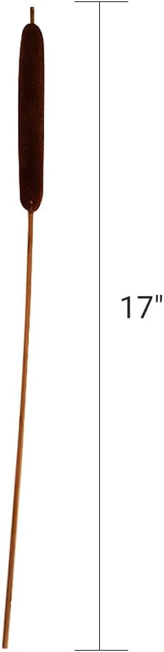 40 Pcs Dried Natural Cattails for Decor and Arrangements
