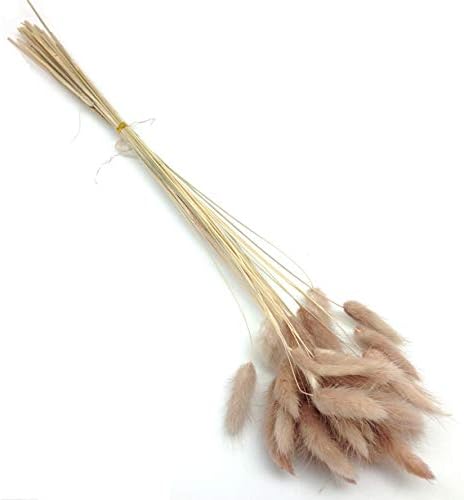 PEPPERLONELY 30pc Natural Dried Flower Rabbit Tail Grass Bouquets