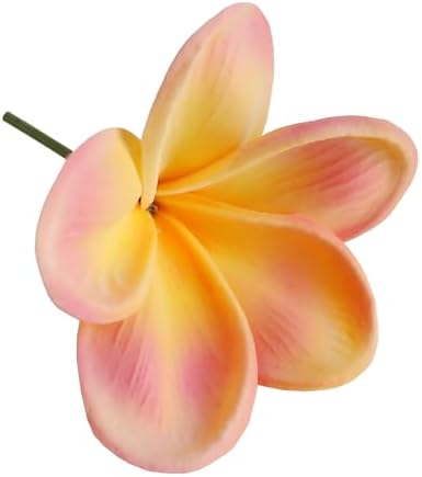 10PCS Real Touch Artificial Plumeria Flowers with Stem Apricot