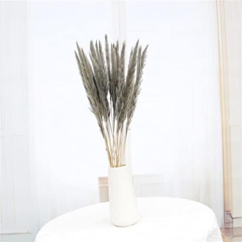 45 PCS Natural Dried Pampas Grass Wedding Decor