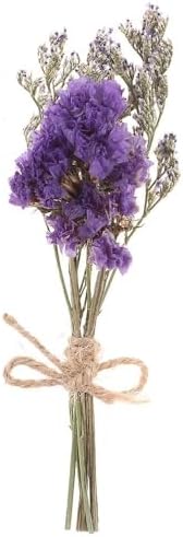 20 PCS Mini Dried Flowers Bouquet Set
