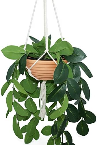 Hisow Artificial Hanging Plants with Clay Pot and Hook