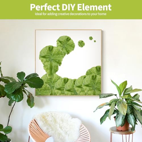 10PCS Realistic Artificial Lettuce Leaves for Decor