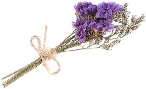 20 PCS Mini Dried Flowers Bouquet Set