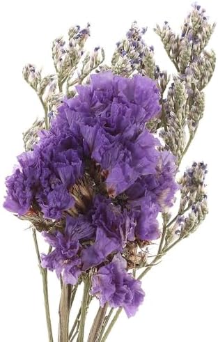20 PCS Mini Dried Flowers Bouquet Set