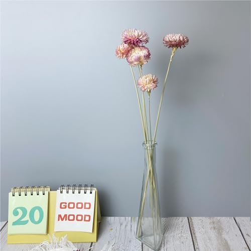 100 Natural Daisy Flowers Bouquets 30Pcs Pink Daisies Chrysanthemums
