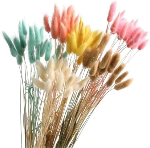 Natural Dried Bunny Tails Flowers 20Pcs Grey 45cm