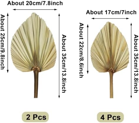 Dried Palm Leaves Bouquet 6 Pcs Eco-Friendly Decor