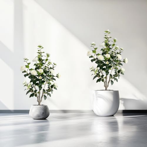 Artificial Camellia Tree 34ft White