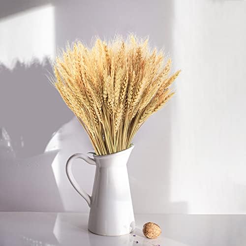 Uieke 177 Inch Dried Wheat Stalks for Fall Decor