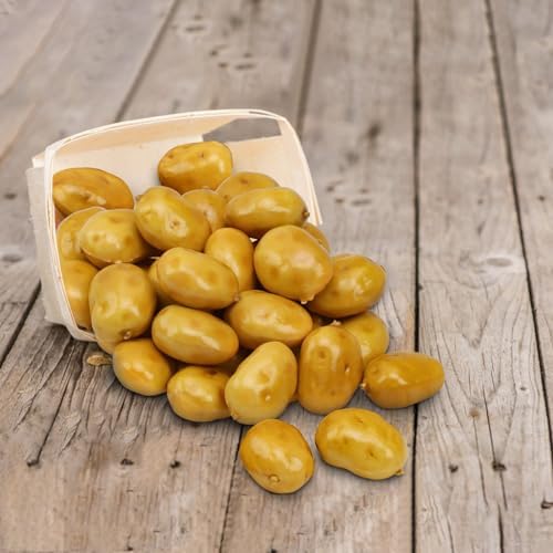 Woration 30pcs Fake Mini Vegetable Artificial Potatoes Decor