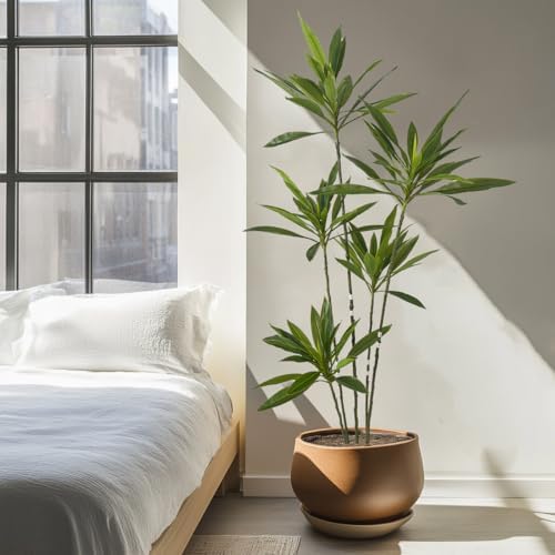 Artificial Cordyline Plant 6 Ft Tall with Pot