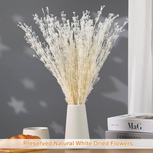 Tavkite Dried White Babys Breath Bouquet 17 Inch
