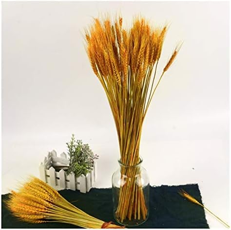HANRUO Dried Flowers 50Pcs Wedding Decor Craft Prop Set