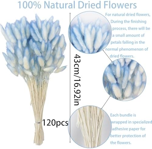 120 Pcs Blue Dried Bunny Tails for Boho Decor