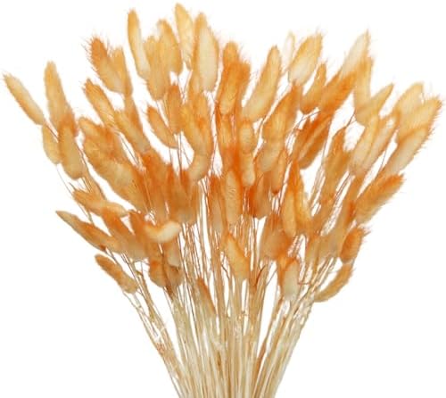 120 Pcs Dark Orange Dried Lagurus Ovatus Flowers