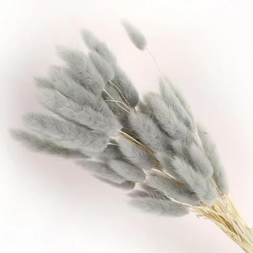 100Pcs Dried Bunny Rabbit Tail Grass Wedding Decor Bouquet