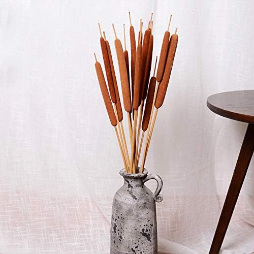 40 Pcs Dried Natural Cattails for Decor and Arrangements