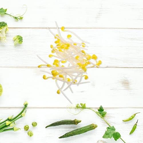 Ciieeo Realistic Bean Sprout Photo Props 50pcs