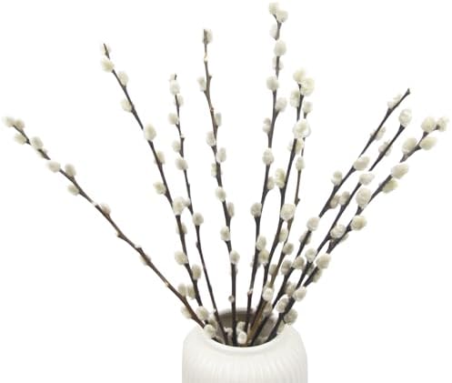 10 Pcs Real Pussy Willow Branches for Vases Decor