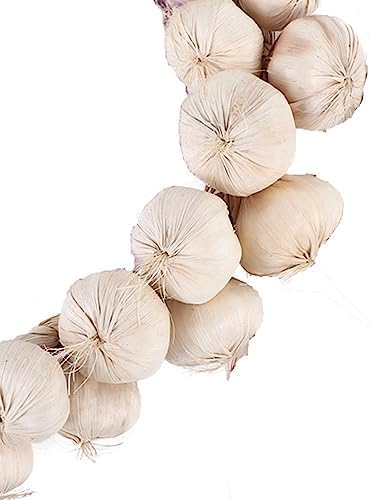 Leadigol Artificial Garlic String for Home Decor