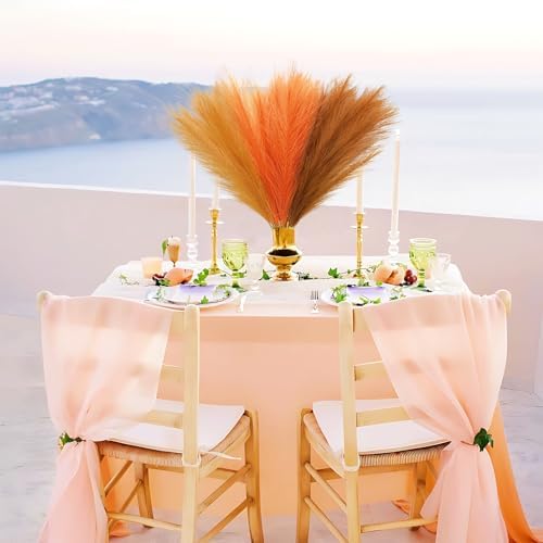 Agusbagli 30pcs Orange Pampas Grass Vase Filler