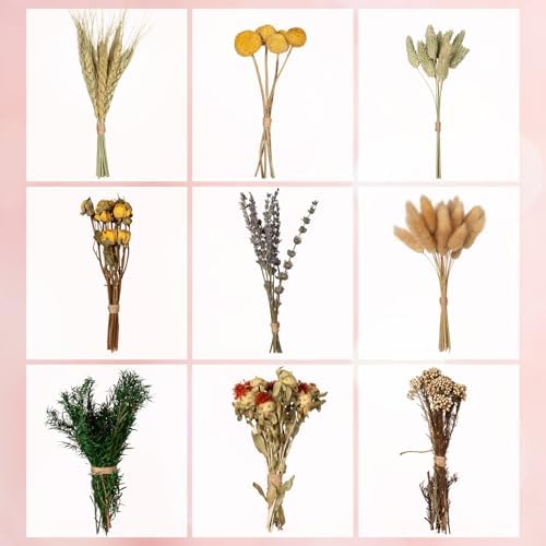 Natural Dried Flower Bouquets for Vase and Decor