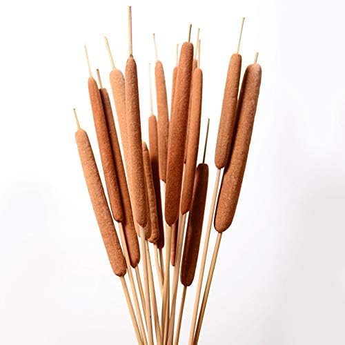 40 Pcs Dried Natural Cattails for Decor and Arrangements