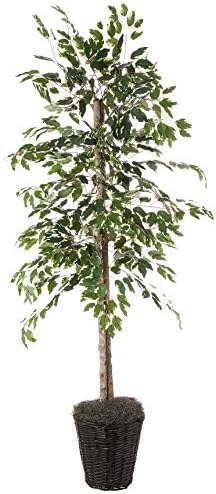 Vickerman 6-Foot Artificial Variegated Ficus Tree in Decorative Container