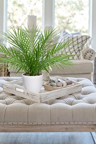 Briful Artificial Palm Plant 15 White Pot Indoor Decor