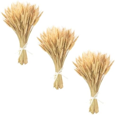 Uieke 177 Inch Dried Wheat Stalks for Fall Decor