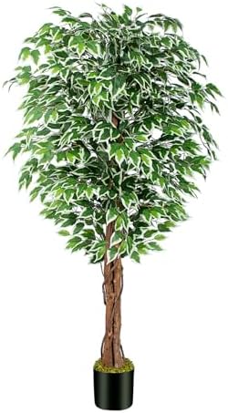 62ft Ficus Artificial Tree with 3 Curved Trunks