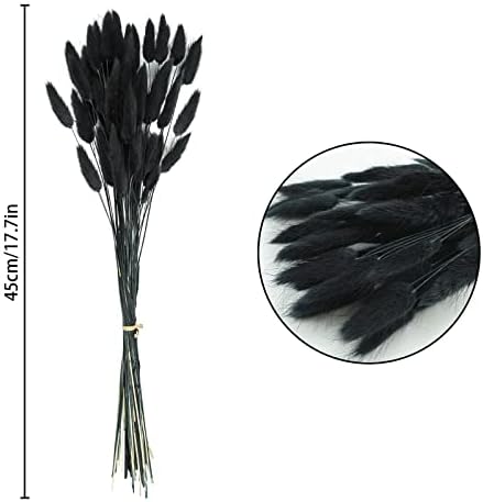 17 Inch Natural Black Bunny Tails Dried Flowers 240 Pcs