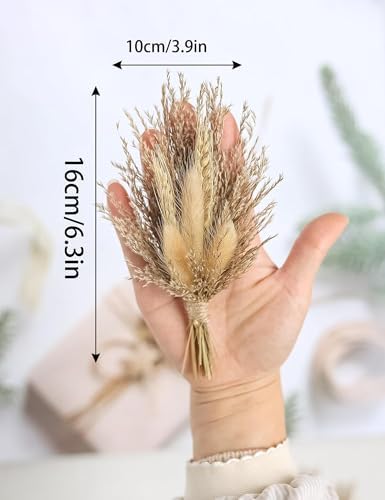 Mini Dried Flower Bouquet Pack of 6 Grey