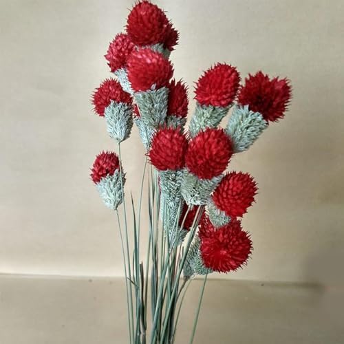 OXCOWNIU Flowers Natural Dried Berries Wedding Bouquet Home Decor