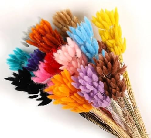 100Pcs Dried Bunny Rabbit Tail Grass Wedding Decor Bouquet