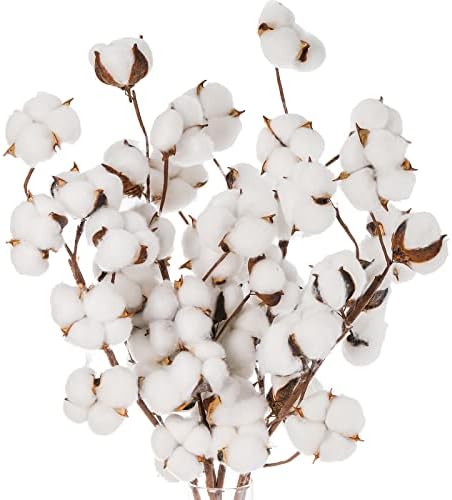 Cedilis 5 Pack Cotton Stems for Farmhouse Decor