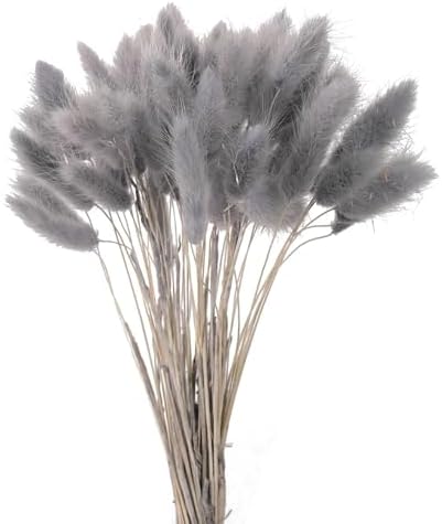 Natural Dried Bunny Tails Flowers 20Pcs Grey 45cm