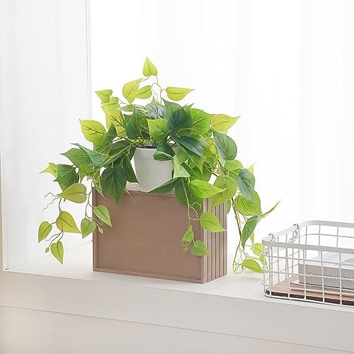 Tiita 1 Pack Artificial Scindapsus Aureus with Pot