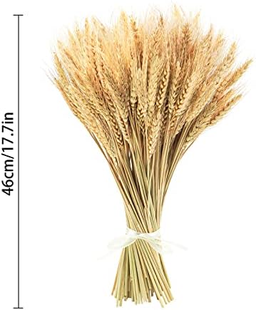 Uieke 177 Inch Dried Wheat Stalks for Fall Decor