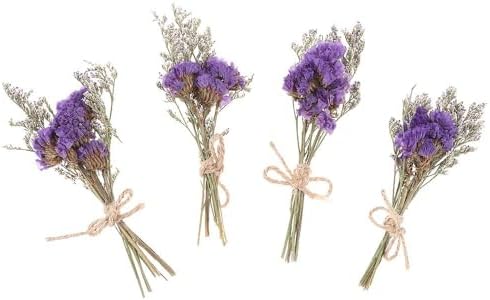 20 PCS Mini Dried Flowers Bouquet Set