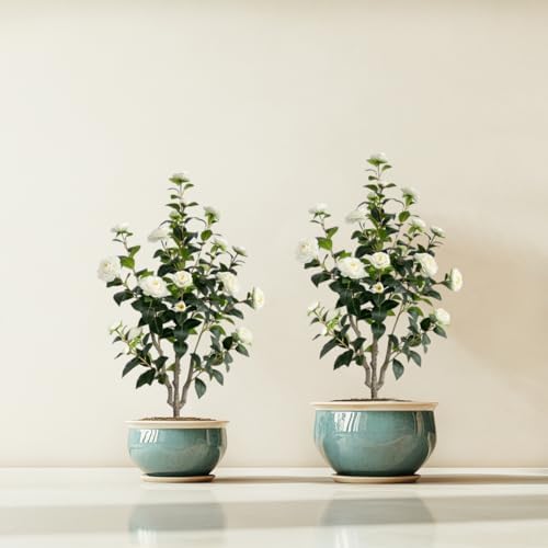 Artificial Camellia Tree 34ft White