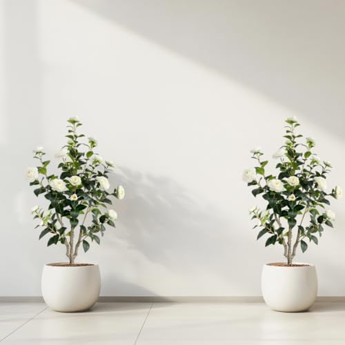 Artificial Camellia Tree 34ft White