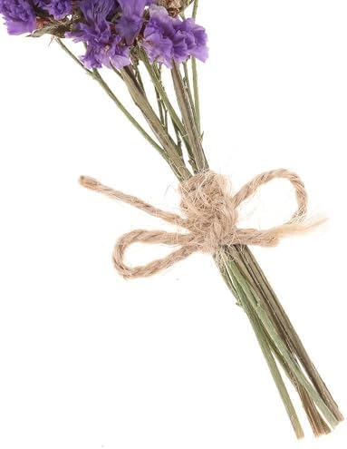 20 PCS Mini Dried Flowers Bouquet Set