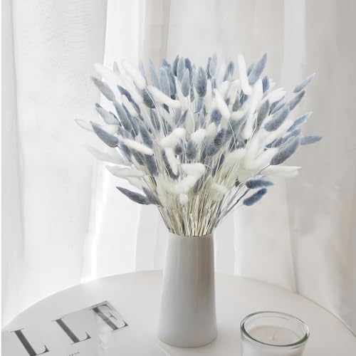 120Pcs Dried Bunny Tails Gray White Pampas Grass Boho Decor