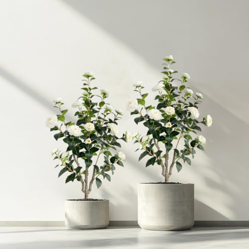 Artificial Camellia Tree 34ft White