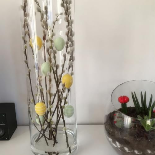 10 Pcs Real Pussy Willow Branches for Vases Decor